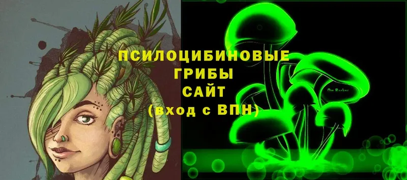 Псилоцибиновые грибы Cubensis  цены наркотик  Малая Вишера 